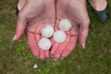 Hail damage in Almelund