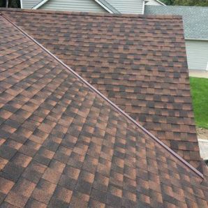 Roofing in Castle Rock, MN (1)